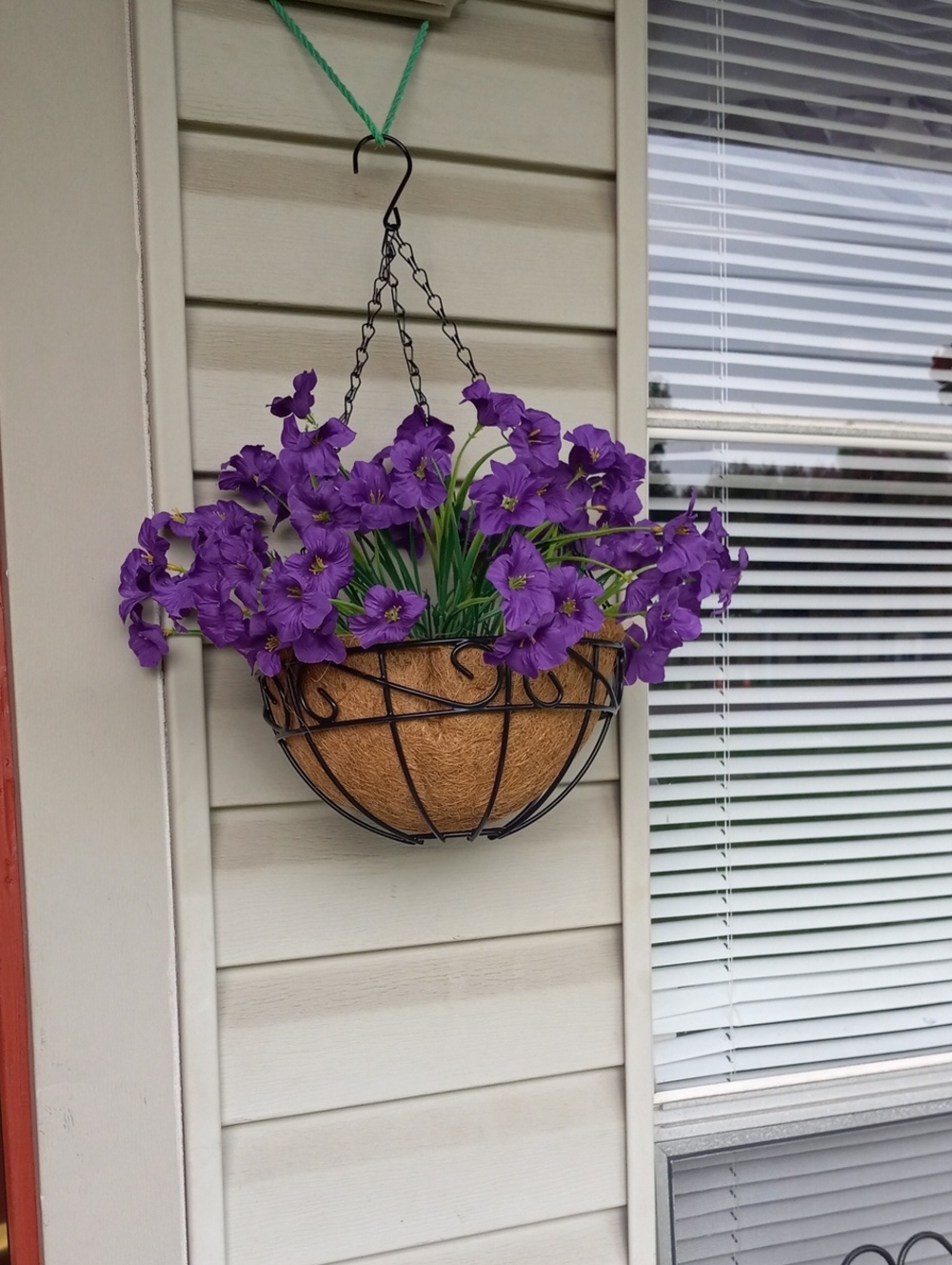 Classic Hanging Planter with Purple Flowers - Unbranded